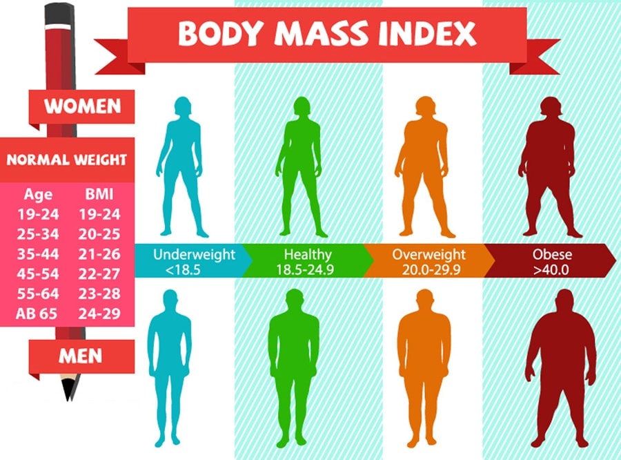 Body Mass Index Calculator - Calculatorall.com