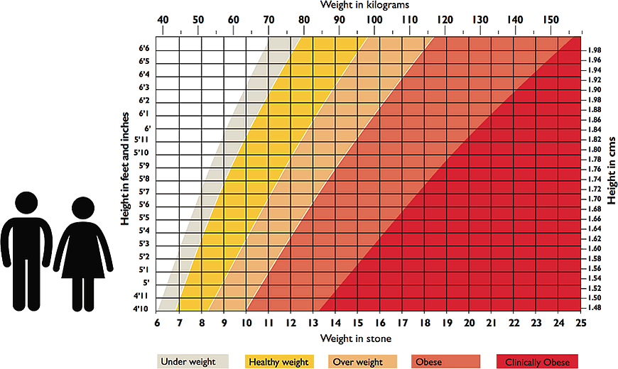 Ideal Weight Calculator - Calculatorall.com