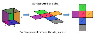 Surface Area Calculator - Calculatorall.com
